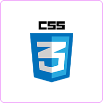CSS logo